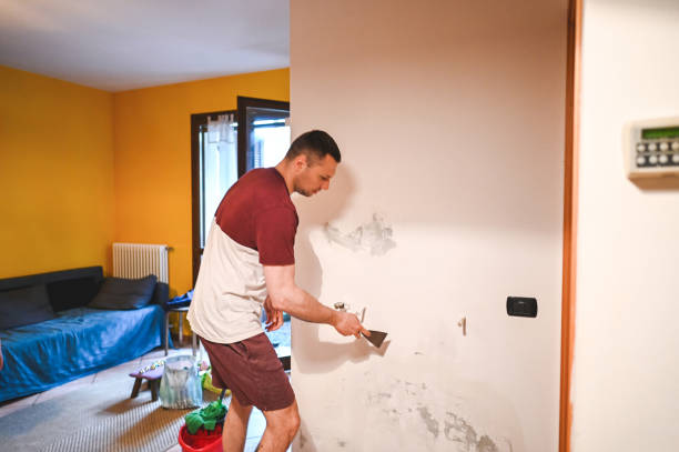 Best Black Mold Remediation in Richwood, TX